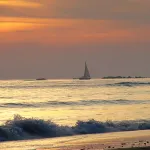 Velero