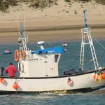 Caño de Sancti-Petri - Barco Pesquero (Chiclana)