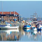 Puerto pesquero de Sancti-Petri, Chiclana