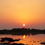 Amanecer en las marismas