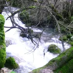 Rio Majaceite 11