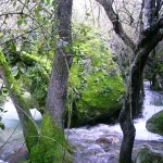 Rio Majaceite 2