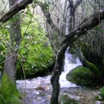 Rio Majaceite 3