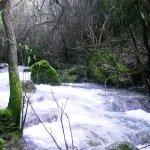 Rio Majaceite 4