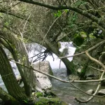 Rio Majaceite 7
