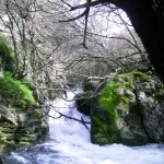 Rio Majaceite 8