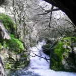 Rio Majaceite 9