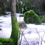Rio Majaceite