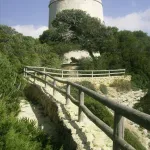 TORRE DEL TAJO DESDE EL MIRADOR DEL ACANTILADO DE BARBATE