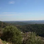 DSCN2116