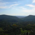 DSCN2117