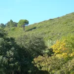 DSCN2118
