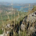 Yacimiento Megalítico de Sierra Martilla