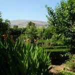 Jardines de Narváez con la Sierra de Loja al fondo