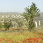 Paraje de Puente Barrancón