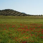Paraje de Riofrío