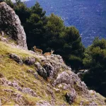 Sierra de Cazorla