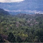 Sierra de Cazorla