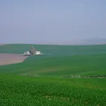 Alrededores de Córdoba