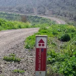 Ruta del Califato