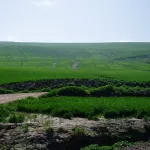Alrededores de Córdoba