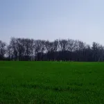 Córdoba
