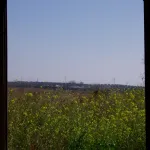 Castillo Isabela (Alcolea)