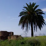 Castillo Isabela (Alcolea)