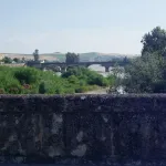 Sotos de la Albolafia