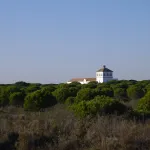 Doñana