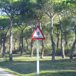 Doñana