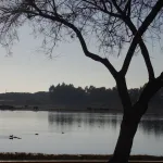 El Rocío