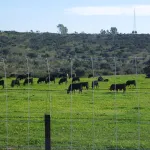 Alrededores de Linares