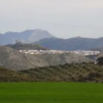 Teba