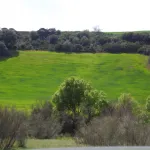 Puebla de Cazalla