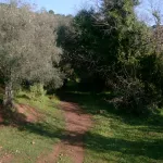 Sierra de Córdoba