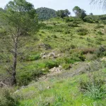 Sierra de Córdoba