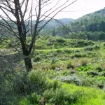 Sierra de Córdoba