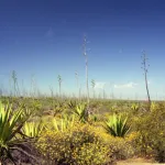 Cabo de Gata