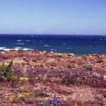 Cabo de Gata