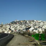Baena
