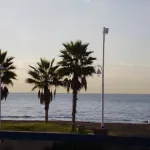 El Palo