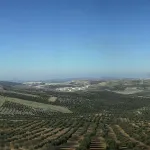Subbética