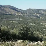 Subbética