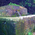 Fuente El Chorrillo