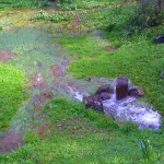 Fuente de La Jurdana