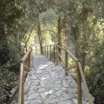 Jardin Botanico