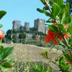 Vista del Castillo desde el Mirador de Las Pairejas