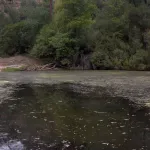 Panoramica Rio Guadiato(Cordoba)