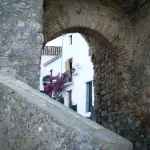 entrada al castillo